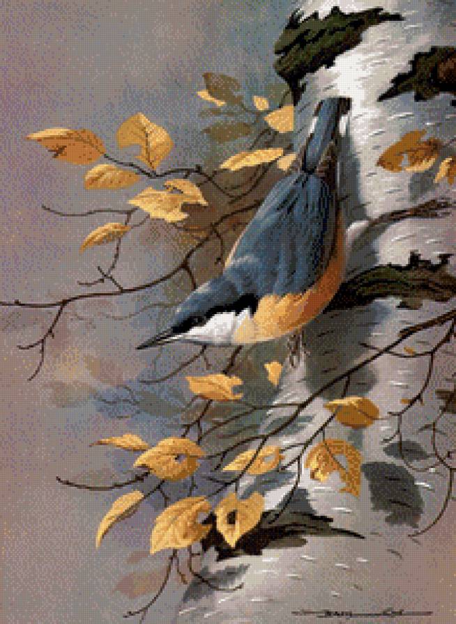 Серия "Птицы" - птиц, осень - предпросмотр