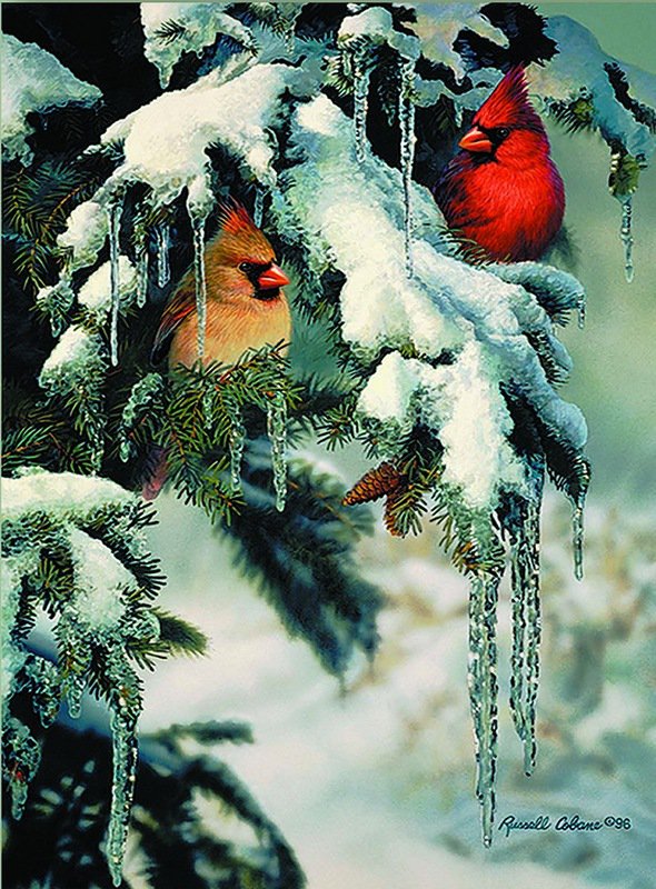 Серия "Птицы" - зима, птицы, кардиналы - оригинал