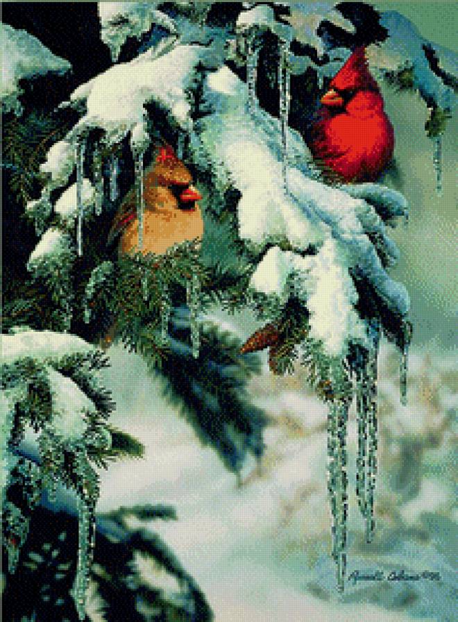 Серия "Птицы" - кардиналы, зима, птицы - предпросмотр