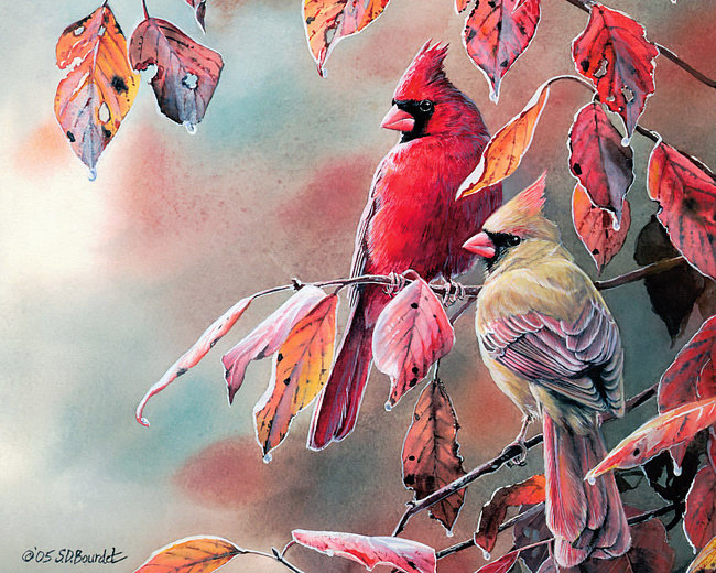 Серия "Птицы" - кардиналы, осень, птицы - оригинал