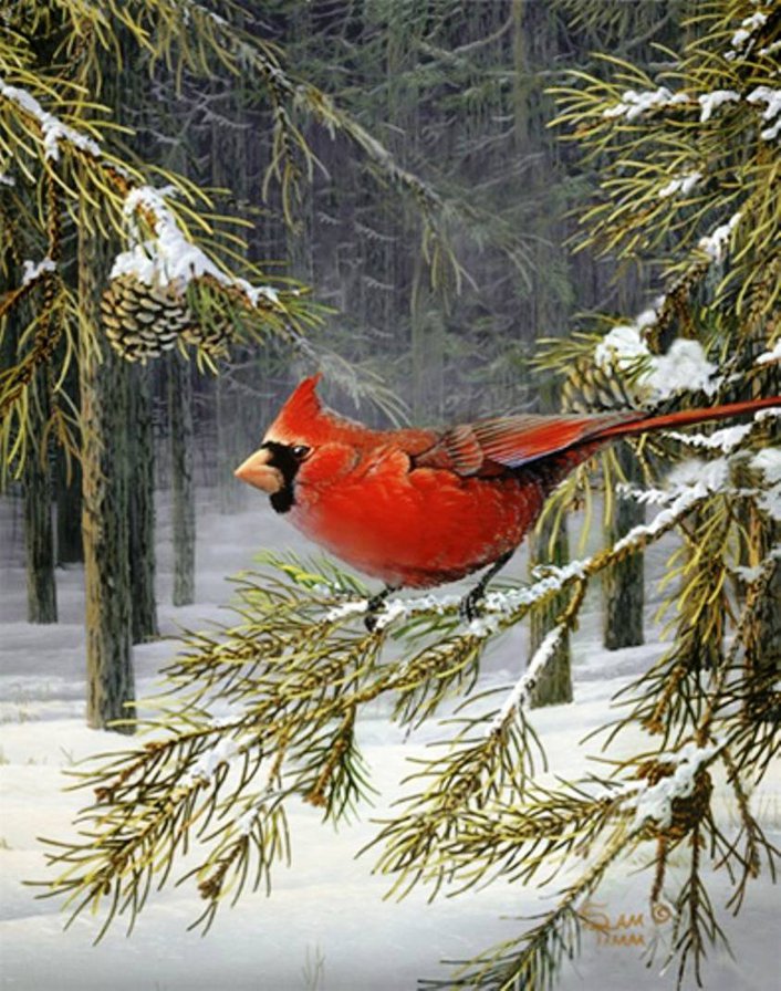 Серия "Птицы" - лес, зима, птицы, кардиналы, пейзаж - оригинал