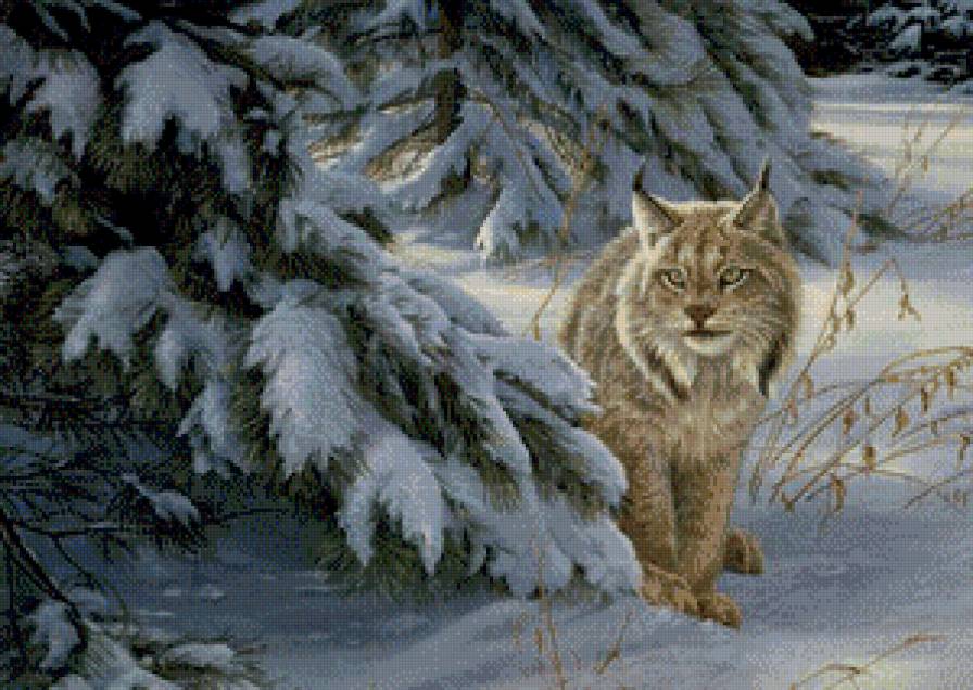 Серия "Большие кошки" - зима, кошки, животные, рыси, пейзаж - предпросмотр