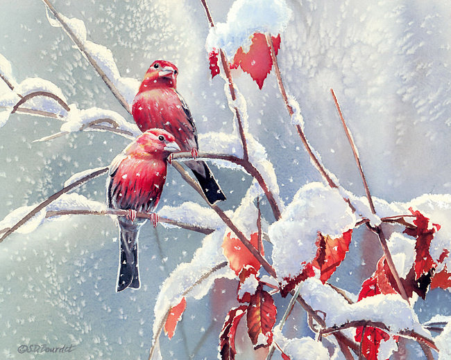 Серия "Птицы" - зима, птицы - оригинал