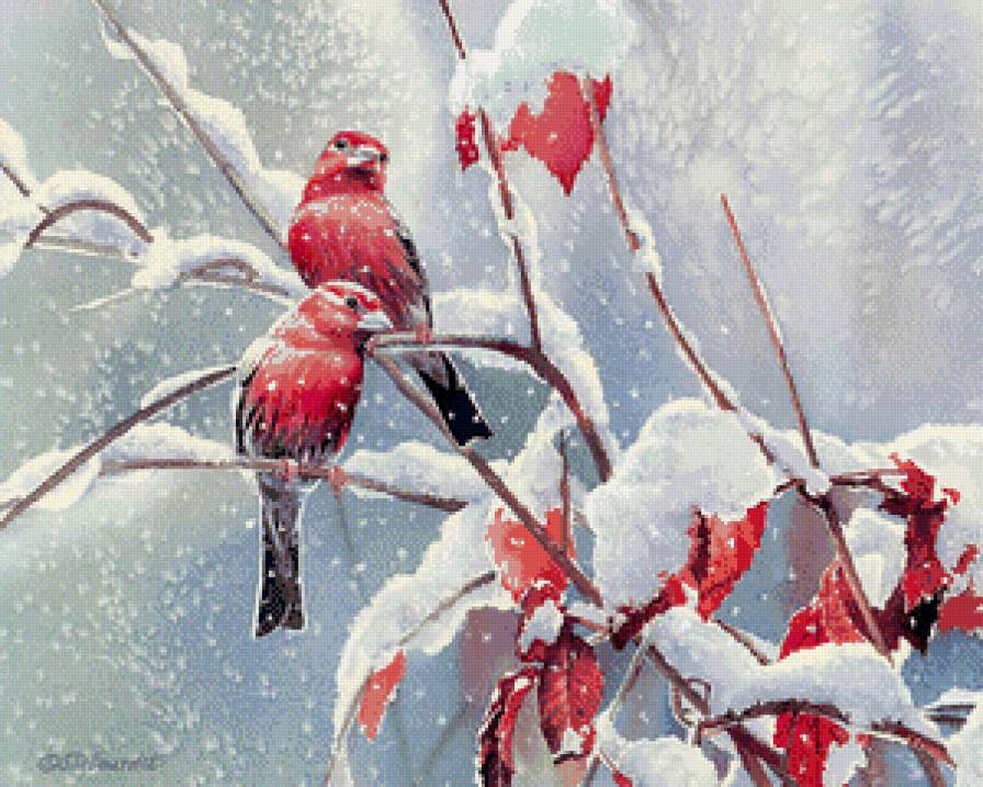 Серия "Птицы" - птицы, зима - предпросмотр