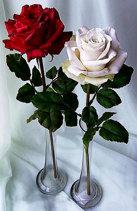 KAY&GERDA - герда, розы, красота, сказка, кай, снежная королева, цветы - оригинал
