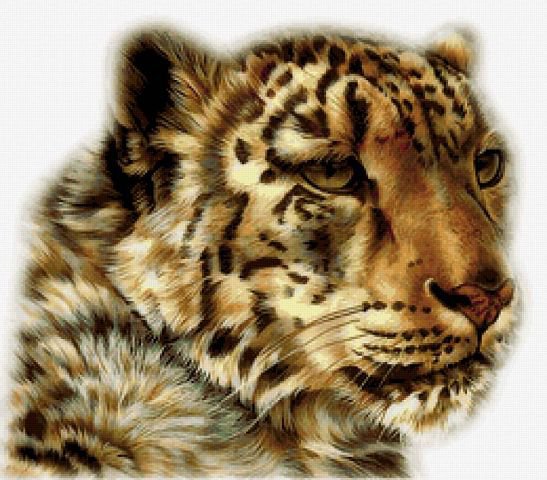 гепард 2 вышивка - гепард, природа, дикие кошки, хищники - оригинал