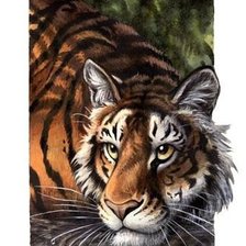 Оригинал схемы вышивки «тигр» (№482746)