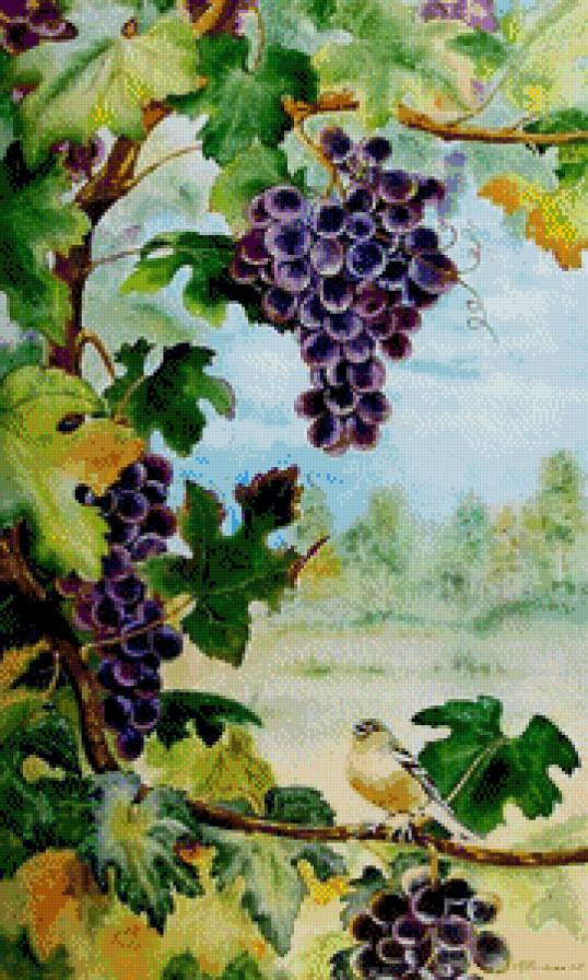 Серия "Птицы" - птицы, виноград, ягоды - предпросмотр
