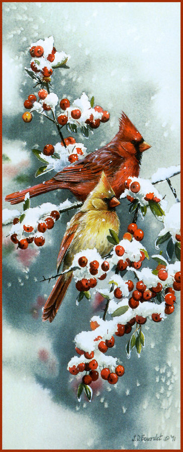 Серия "Птицы" - зима, птицы, кардиналы, рябина, ягоды - оригинал