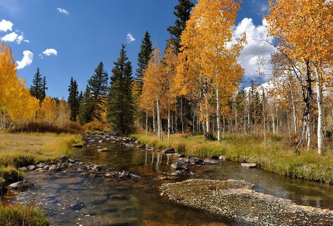 Осень - осень, природа, речка, лес - оригинал