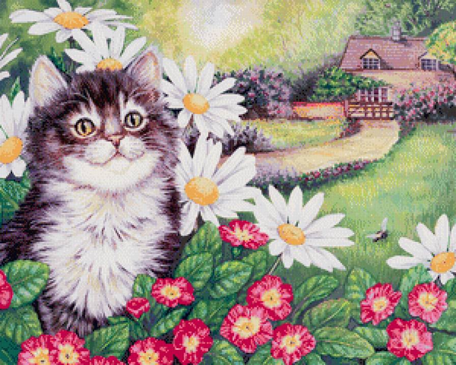 Кот в цветах - домик, животные, коты, пейзаж - предпросмотр