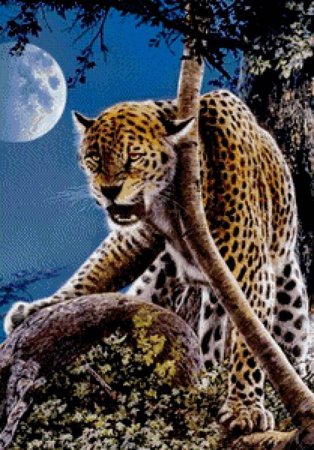 дикая кошка - леопард, хищник, луна.ночь, живопись, дерево - предпросмотр