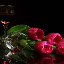 тюльпаны и красное вино