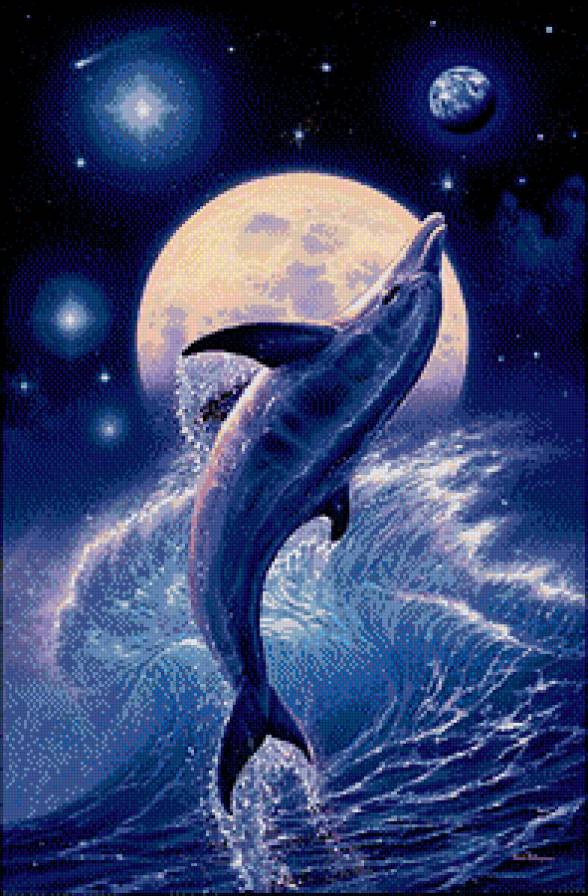 дельфин - море, дельфин, луна - предпросмотр