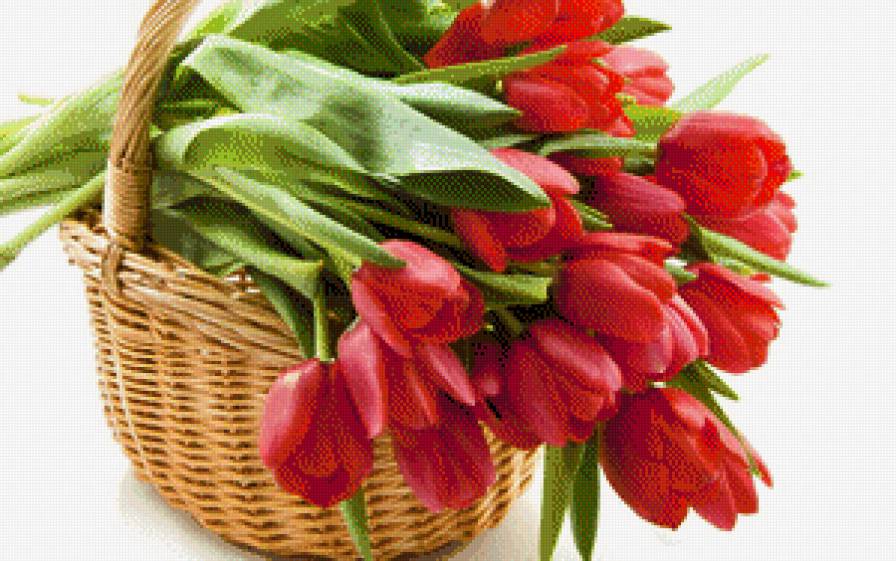 корзина с тюльпанами - картина, цветы, натюрморт - предпросмотр