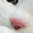 Предпросмотр схемы вышивки «Белый котёнок» (№484306)