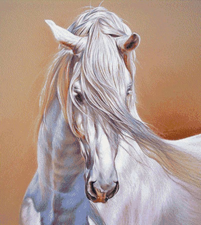 Белый конь - лошади, конь - оригинал