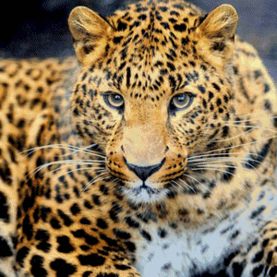 леопард - хищники, подушки - предпросмотр