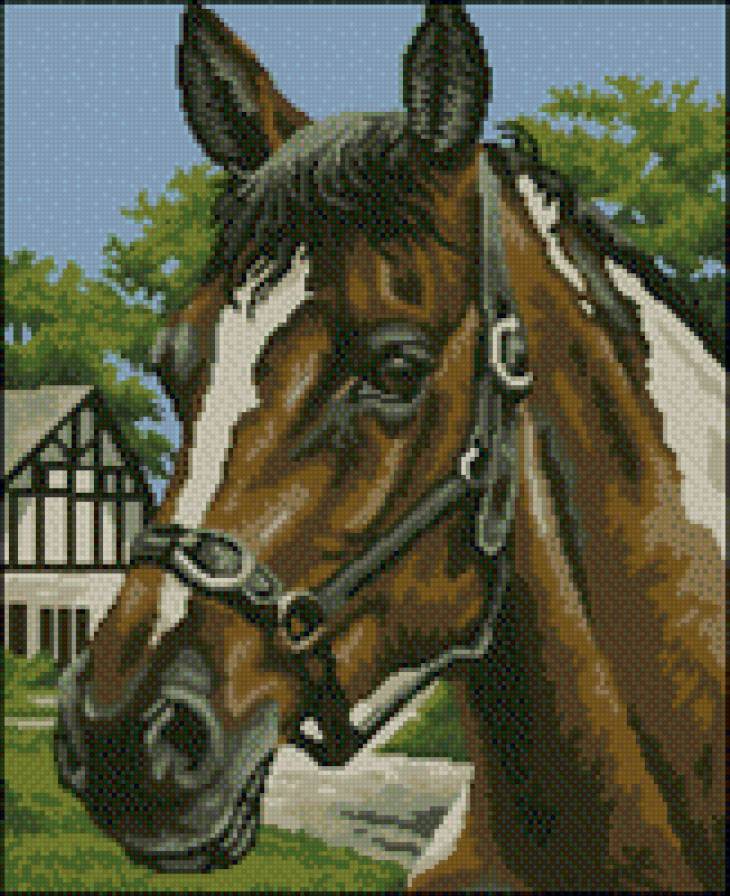 №485092 - животные, картина, лошадь, кони - предпросмотр