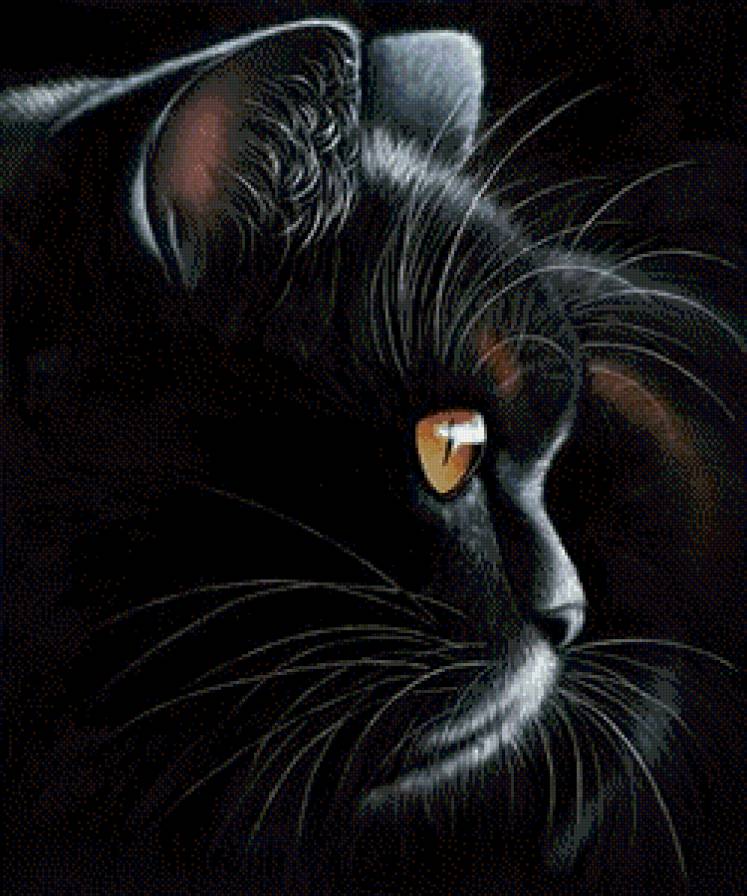 отелло и дездемона - диптих, домашние животные, кот, пара, белая кошка, черная кошка, кошка - предпросмотр
