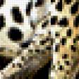 Предпросмотр схемы вышивки «леопард отдыхает (яркий)» (№486542)