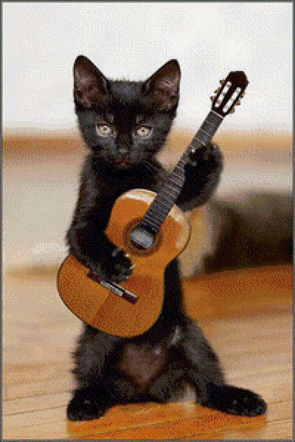 Кот с гитарой - кот, гтьара - предпросмотр
