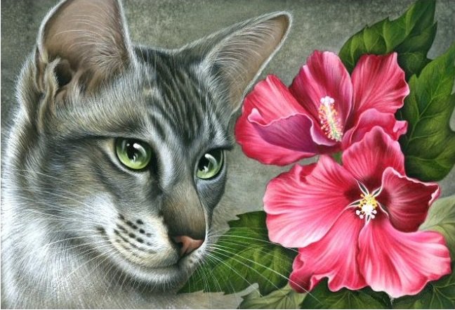 кошки и цветы - розовые цветы, гибискус, домашние животные, кот, кошка, кошки - оригинал