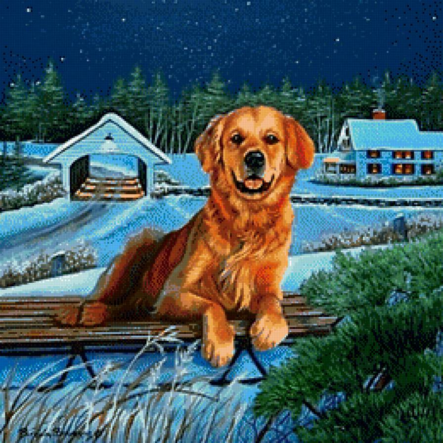 охраник - собака, зима, лабрадор, домашние питомцы, пейзаж - предпросмотр