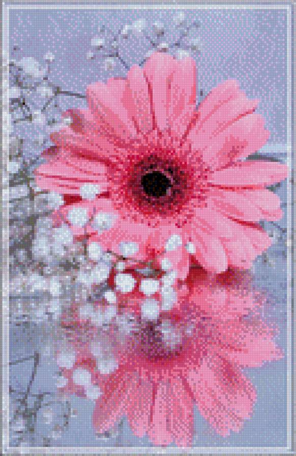 отражение - цветы - предпросмотр