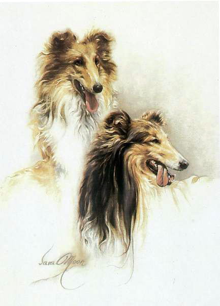 Собачки - живопись, животные, собаки - оригинал