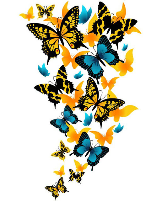 Бабочки - насекомые, бабочки - оригинал