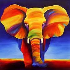 слон цветной