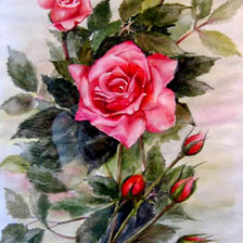 Оригинал схемы вышивки «розы» (№487295)