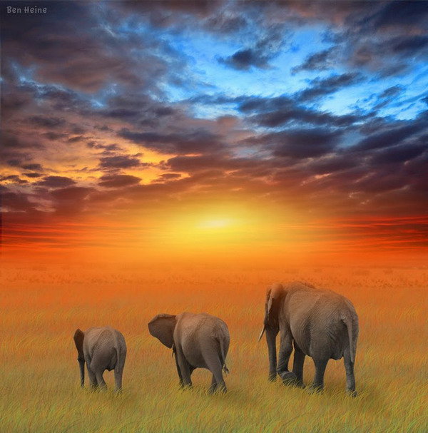 подушка "семья слонов" - слонята, семья, подушка, слоны, слон - оригинал