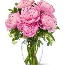 Оригинал схемы вышивки «пионы розовые в вазе» (№487731)