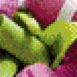 Предпросмотр схемы вышивки «Тюльпаны» (№487801)