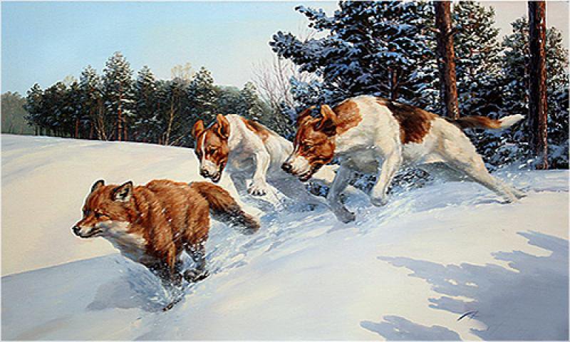 164 - зима, собаки, природа, животные, красота, лиса, картина - оригинал