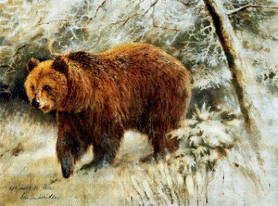 МЕДВЕДЬ - охота, медведь, природа - предпросмотр
