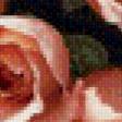 Предпросмотр схемы вышивки «розы» (№488436)