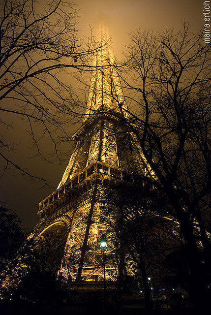 Башня Эйфеля - лес, фонари, париж, эйфелева башня, ночь - оригинал