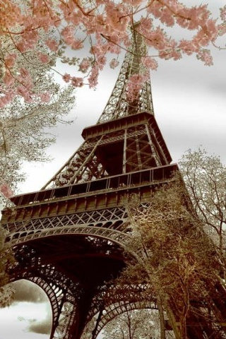 Башня Эйфеля - эйфелева башня, париж, лес, ночь, фонари - оригинал
