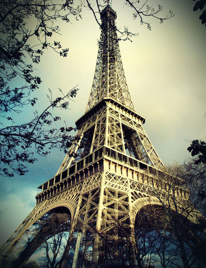 Башня Эйфеля - ночь, париж, эйфелева башня, лес, фонари - оригинал