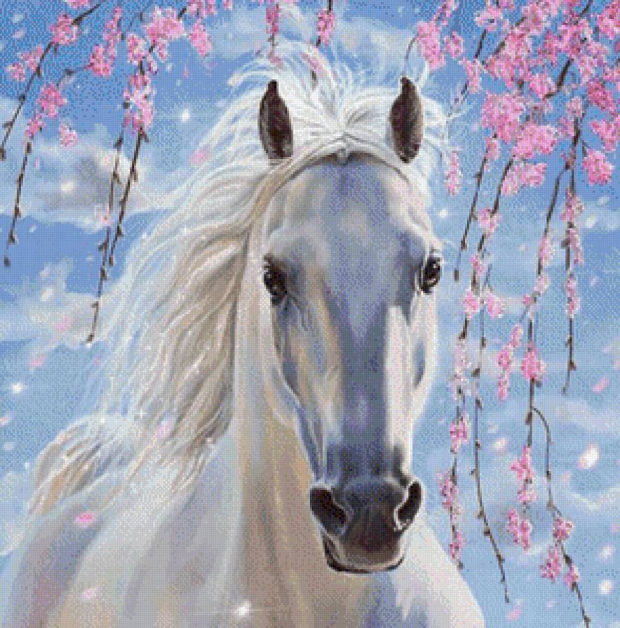 белая лошадка - лошади, лошадь - предпросмотр