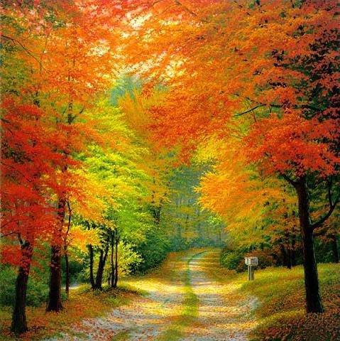 Золотая осень - золотая осень деревья дорога - оригинал