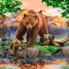 семья медведей