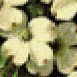 Предпросмотр схемы вышивки «нежные цветы» (№488869)
