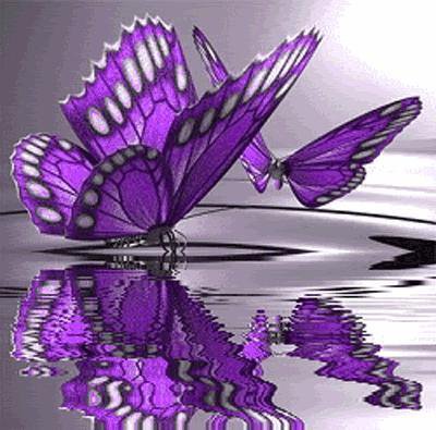 сиреневые бабочки,отражение - картины, картина, бабочки - оригинал