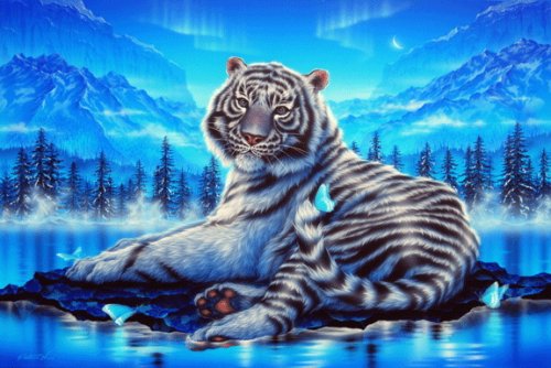 Картины Кентаро Нишино - природа, вода, животные, насекомые, бабочка, тигр - оригинал