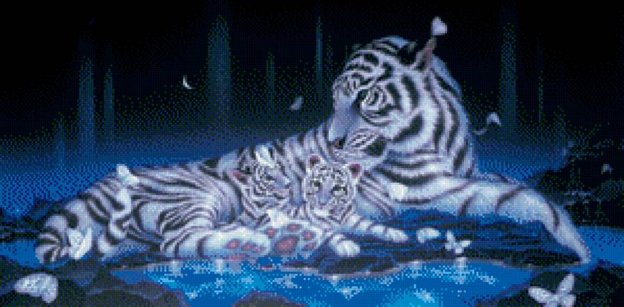 Картины Кентаро Нишино - ночь, вода, бабочка, тигр, природа, насекомые - предпросмотр