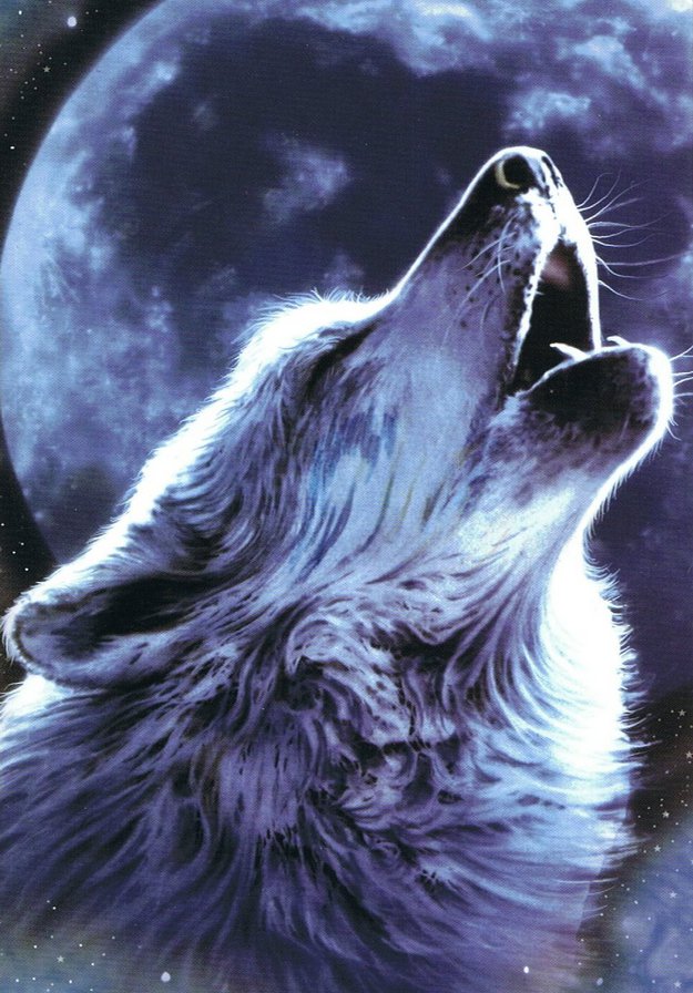 Воющий волк - луна, ночь, волк - оригинал